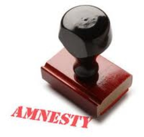 Amnesty Program