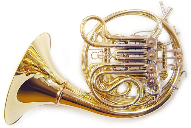 Volunteer work/internship