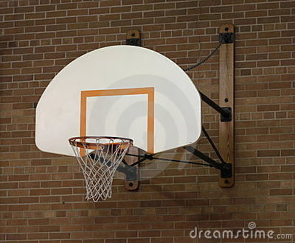 Open-Ended Nets Introduced