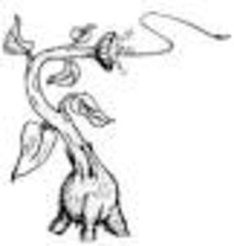 The Lucky Triffid Sting