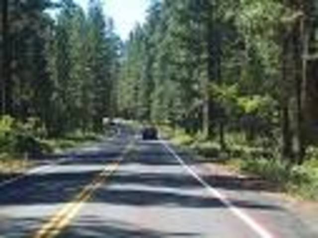 Escape to the Isle of Wight