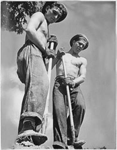 Establishment of CCC