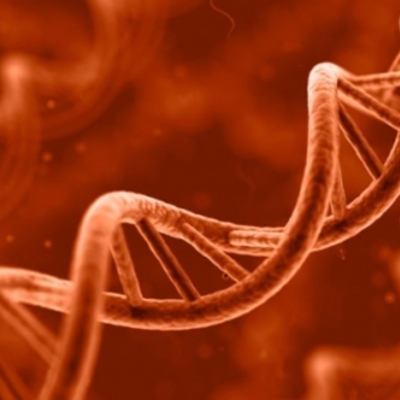 Timeline: THE DISCOVERY OF DNA