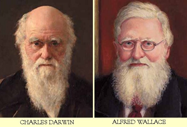 Charles Darwin & Albert Wallace