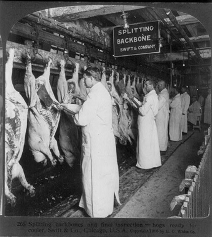 Pure Food and Drug Act/Meat Inspection Act