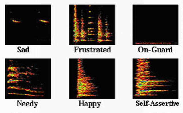 Voiceprints
