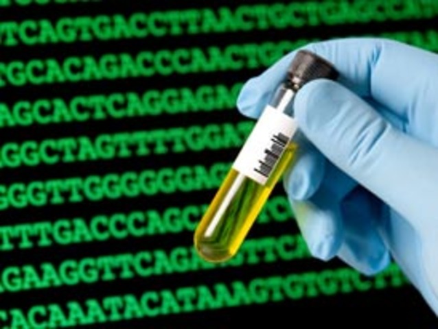 Combined DNA Index System