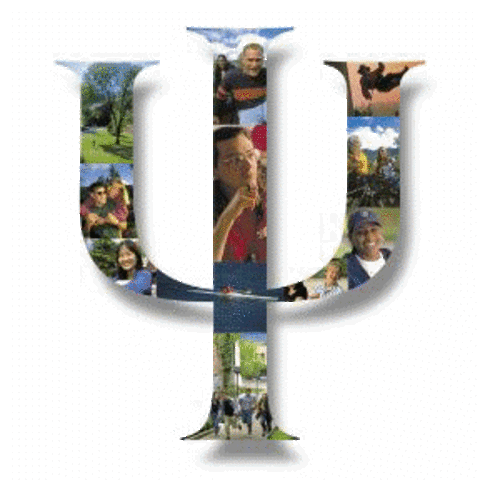 The FIRST important IDEAS