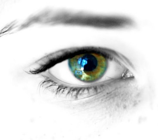 6 mõttemütsi 9. kl bioloogias