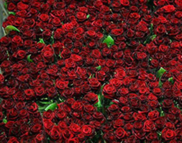 75 тысяч кантрабандных ружаў затрымалі Ашмянскія мытнікі