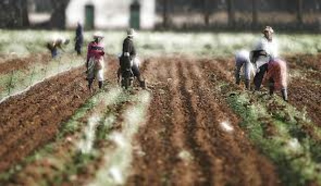 Anthony Johnson Acquires Land