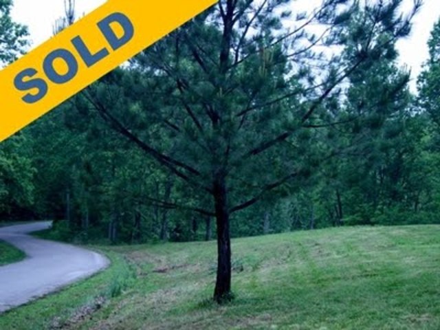 Anthony Johnson Acquires Land