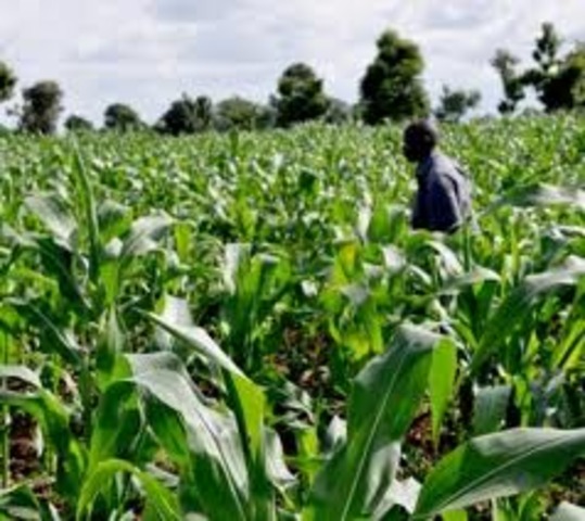 Anthony Johnson Acquires Land