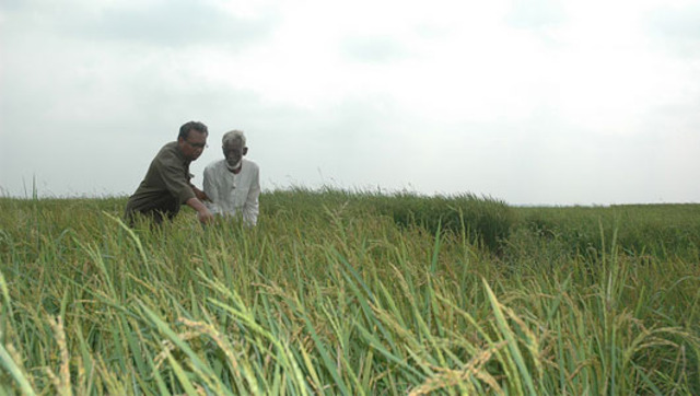 Anthony Johnson Acquires Land (PART TWO)