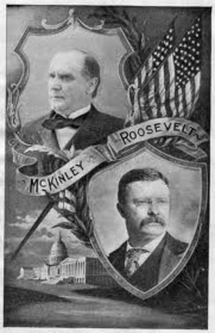 McKinley Assassination/Roosevelt Presidency