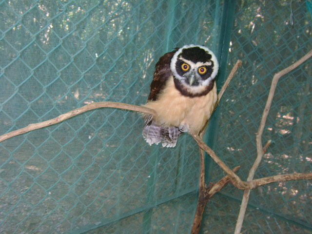 Administración y Manejo del Centro de Rehabilitación deFauna