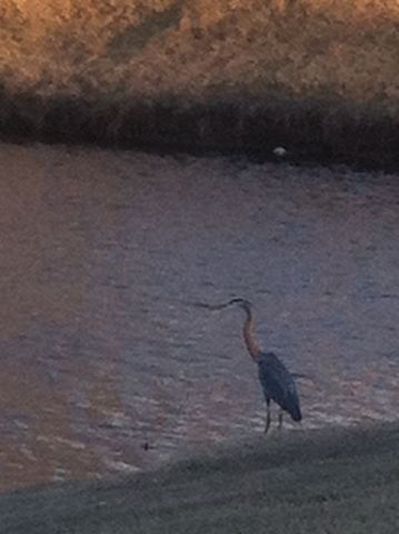 Second day of Big Week