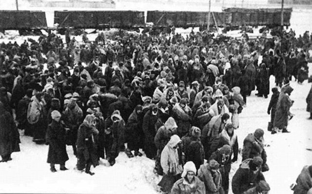 German surrender at Stalingrad