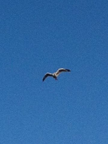 Last day of Big Week