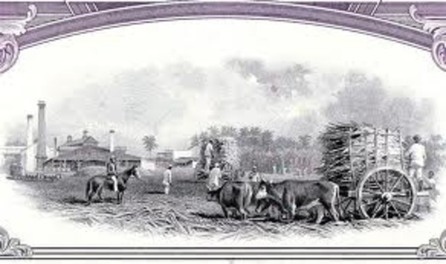 Anthony Johnson Petitions for his Slave, John Casar