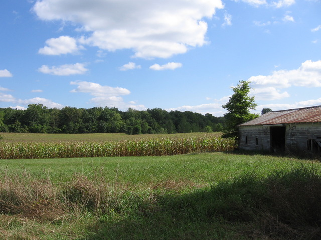 Anthony Aquires Land