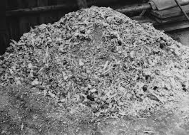 German Jews above the age of six are forced to wear a yellow Star of David sewed on the left side of their clothes with the word "Jude" printed in black.