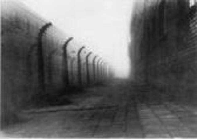 The Danish citizens smuggle most of the nation's Jews to neutral Sweden.