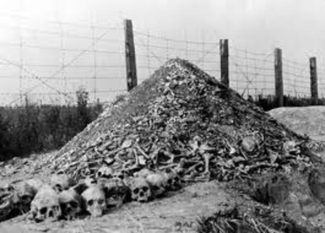 The Soviet Army liberates the Majdanek death camp.