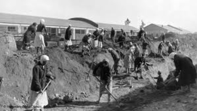 Romania passes law condemning adult Jews to forced labor.