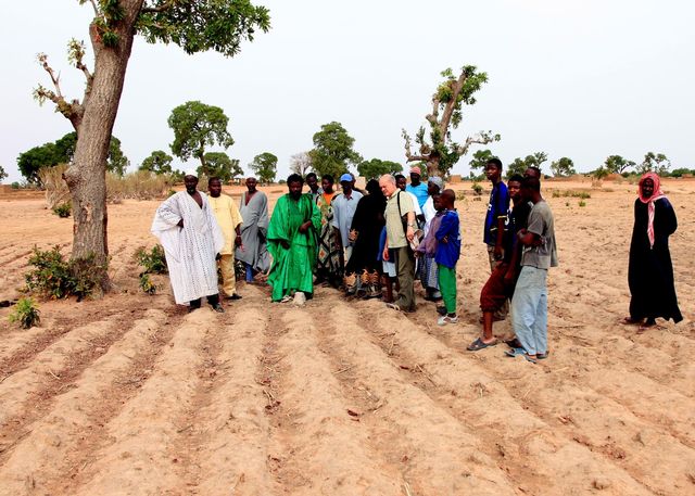 New project initiated