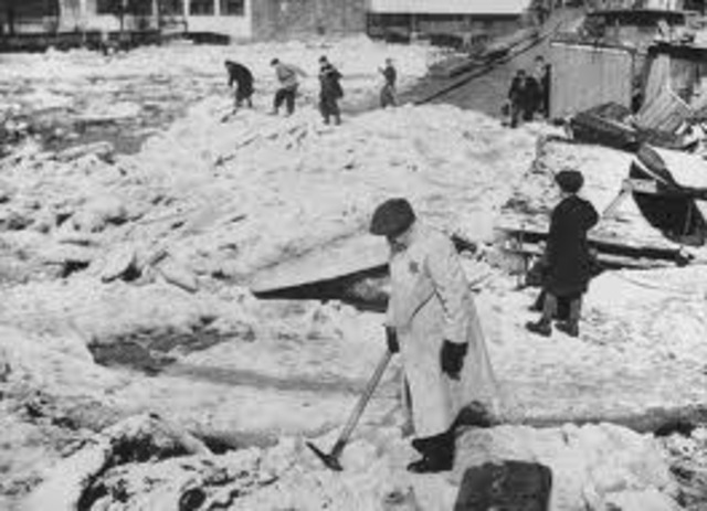 Romania passes law condemning adult Jews to forced labor.