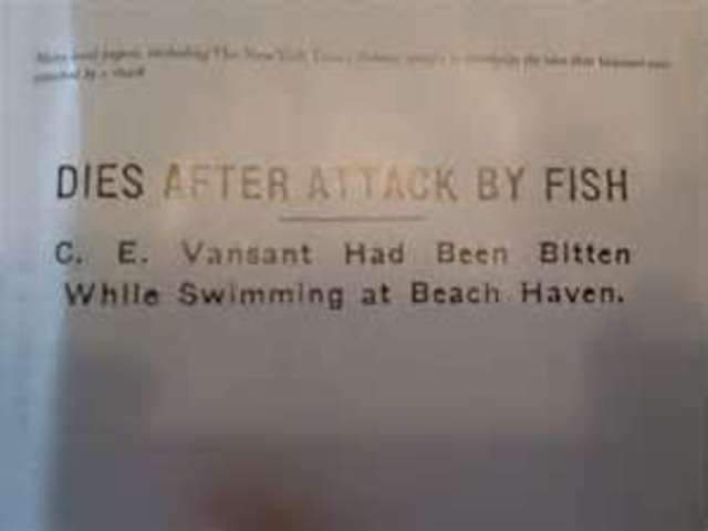 The First Attack at Jersey Shore