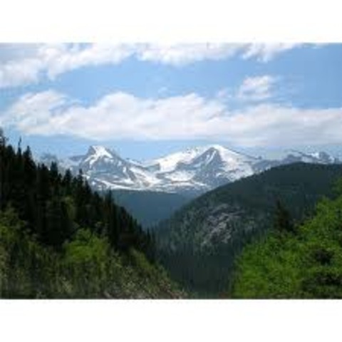 Move back to Bybanks