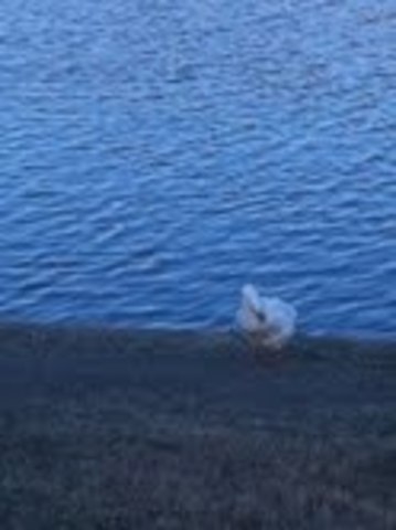 14 Feb, fourth day of big week