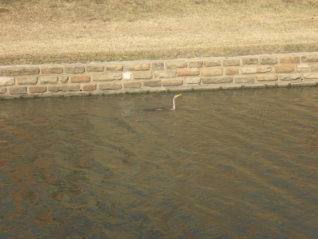 Eighth Day of Big Week