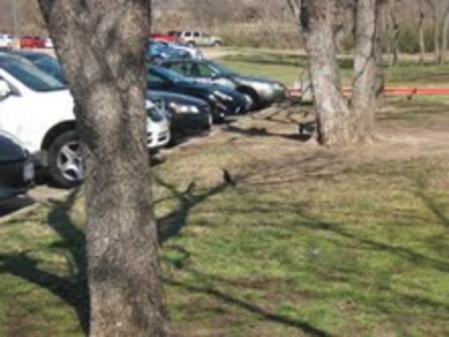 11 Feb, first day of big week