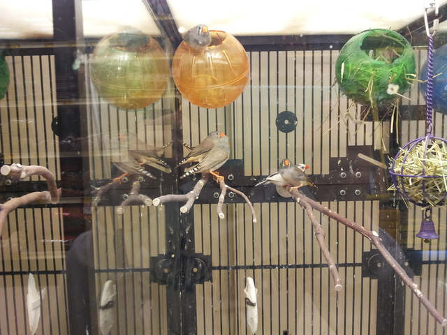 Sixth day of Big Week