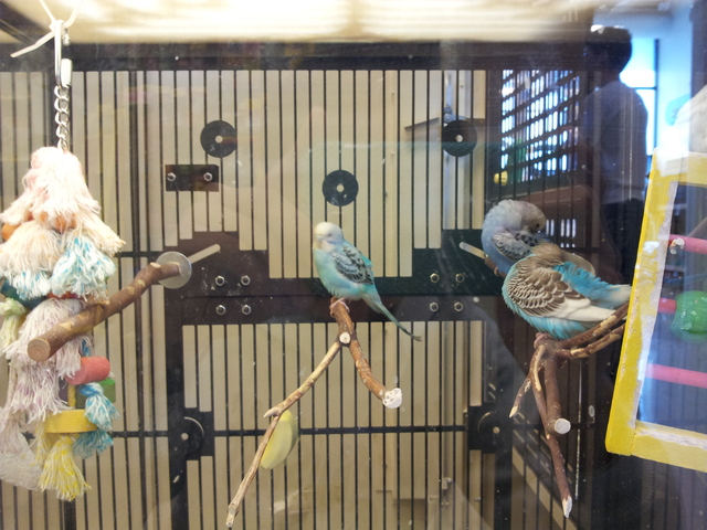 Sixth Day of Big Week