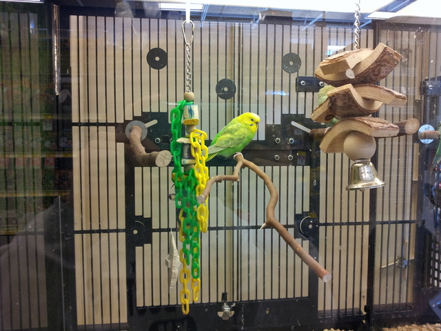 Eighth Day of Big Week