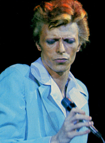 "The Rise And Fall Ziggy Stardust And The Spiders From Mars"