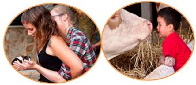 A Mis 70 Años Le Sederia Mi Fundacion A Uno De Mis Hijos Para Que Siga Con La Fundacion