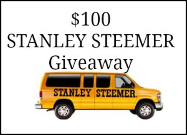 Stanley Steemer Began