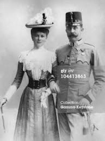 The Asssasaintion of Archduke Franzf Ferdinand