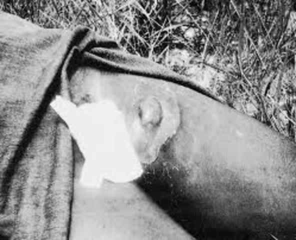 Bubonic Plague begins