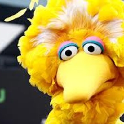 Timeline: The Big Week: Life of Birds; final bird count 18