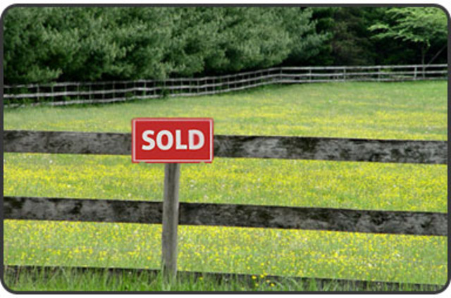 Anthony Johnson aquires land