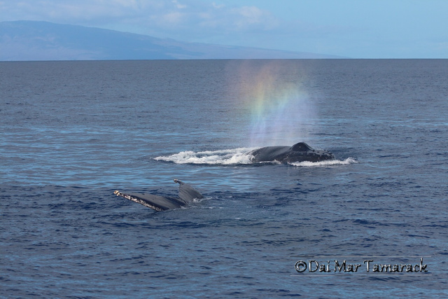 Slowly making my way up to the coast