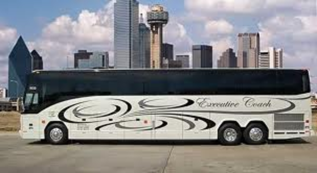 Mom gets in a bus crash and is killed.