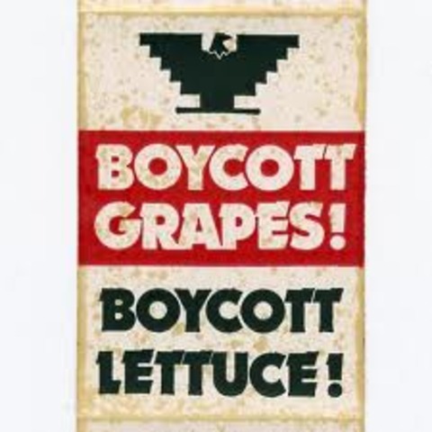 United Farm Workers Organizing Committee (UFWOC)