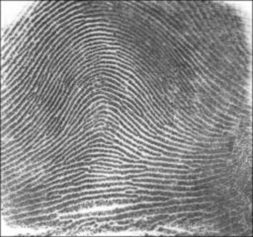 Fingerprint Reader